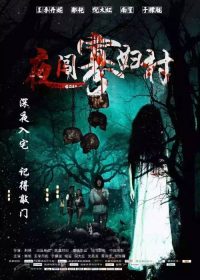 夜闯寡妇村 poster