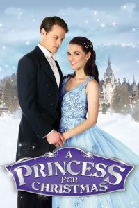 圣诞公主 poster