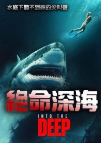 堕入深渊 poster