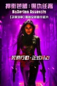 芭蕾女刺客 poster