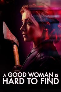 好女难寻 poster