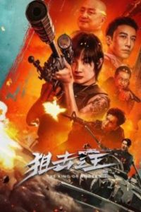 狙击之王：暗杀 poster