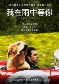 我在雨中等你 poster