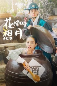 花开时想月 poster