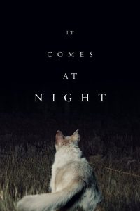 黑夜造访 poster