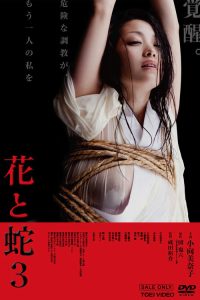 花与蛇3 poster