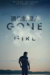 消失的爱人 poster