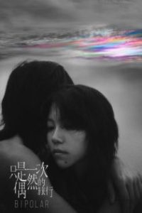 只是一次偶然的旅行 poster