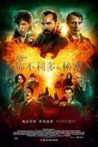 神奇动物：邓布利多之谜 poster