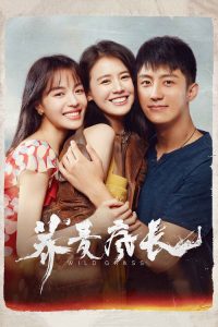荞麦疯长 poster