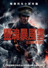 灵魂暴风雪 poster