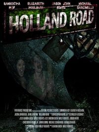 荷兰之路 poster