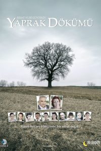 落叶 poster