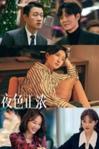 夜色正浓 poster