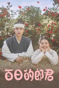 百日的郎君 poster
