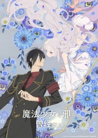 魔法少女与邪恶曾经敌对。 poster