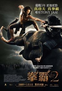 拳霸2 poster
