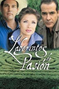 Laberintos de pasión poster
