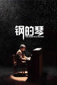 钢的琴 poster