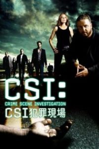 犯罪现场调查 poster