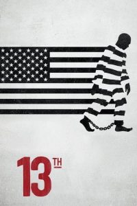第十三修正案 poster