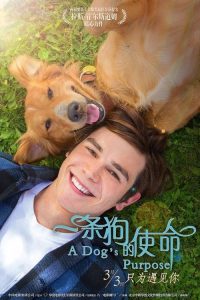 一条狗的使命 poster