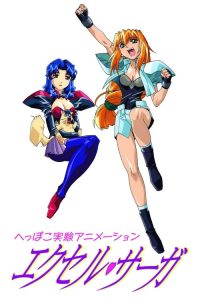 恶搞实验动画 迷糊女战士 poster