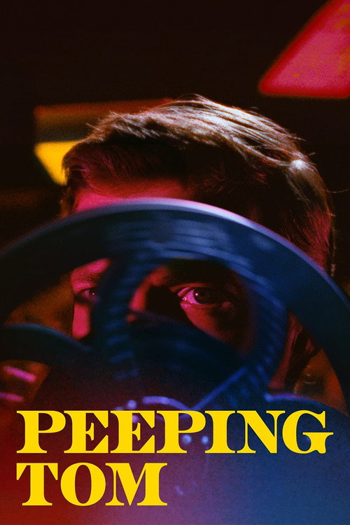 偷窥狂 poster