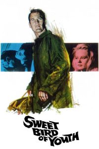 春浓满楼情痴狂 poster
