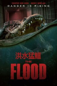 致命洪灾 poster