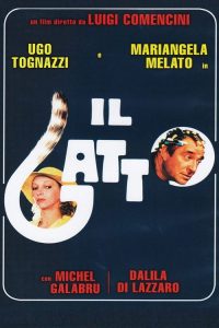 灵猫 poster