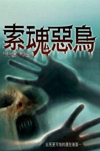 索魂恶鸟 poster