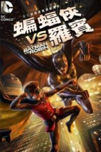 蝙蝠侠大战罗宾 poster
