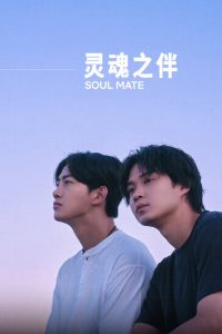 灵魂之伴 poster