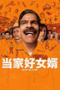 当家好女婿 poster