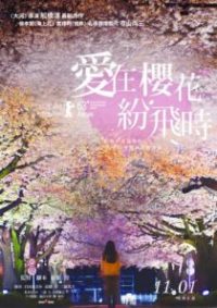 盛开的樱花树下 poster