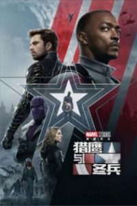 猎鹰与冬兵 poster