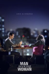 男追女 poster