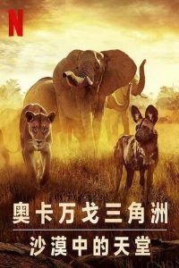 幸存的天堂 poster
