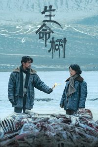生命树 poster