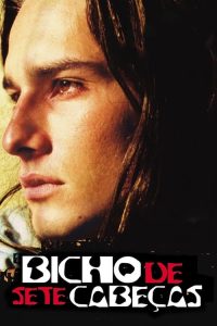 Bicho de Sete Cabeças poster