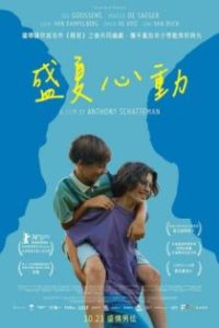 年轻的心 poster