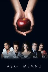 Aşk-ı Memnu poster