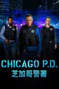 芝加哥警署 poster