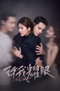 许我耀眼 poster