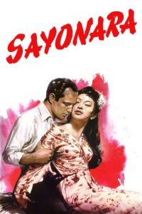 樱花恋 poster