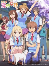 樱花庄的宠物女孩 poster