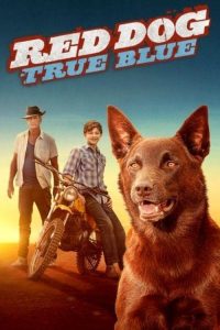 红犬历险记2：蓝犬 poster
