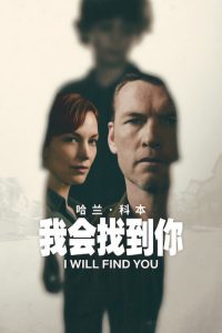 我会找到你 poster