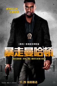 21座桥 poster